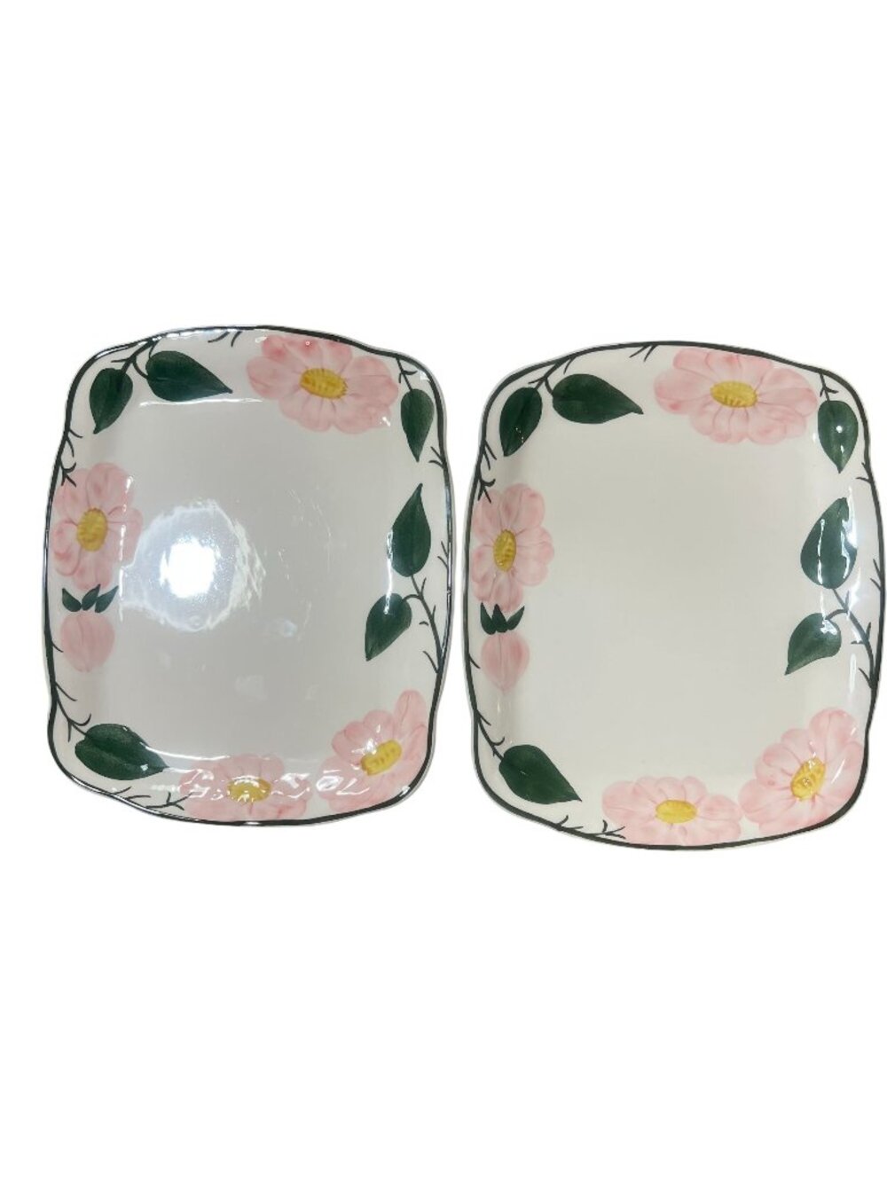 Villeroy & Boch Wild Rose Hand-Painted Rectangular Plates Set Of 2 Germany